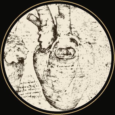 Urgencias — dibujo de Leonardo da Vinci